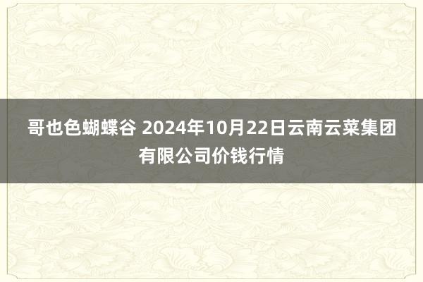 哥也色蝴蝶谷 2024年10月22日云南云菜集团有限公司价钱行情