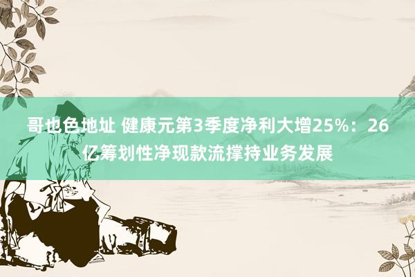 哥也色地址 健康元第3季度净利大增25%：26亿筹划性净现款流撑持业务发展