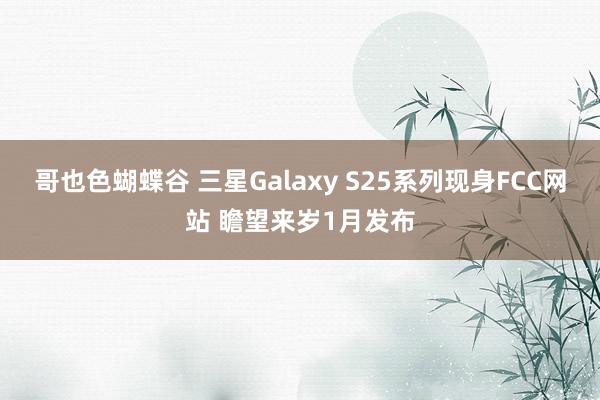 哥也色蝴蝶谷 三星Galaxy S25系列现身FCC网站 瞻望来岁1月发布