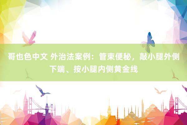 哥也色中文 外治法案例：管束便秘，敲小腿外侧下端、按小腿内侧黄金线