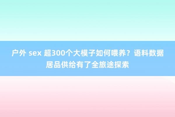 户外 sex 超300个大模子如何喂养？语料数据居品供给有了全旅途探索