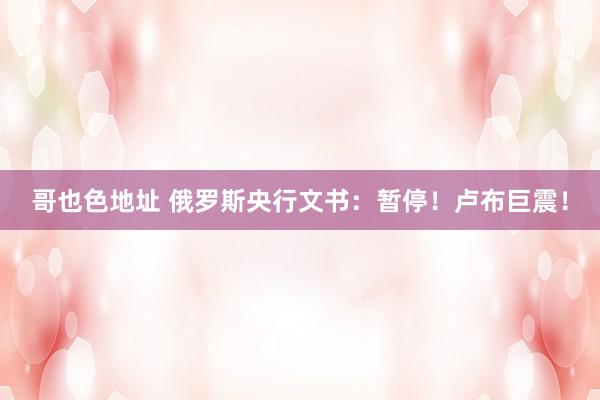 哥也色地址 俄罗斯央行文书：暂停！卢布巨震！