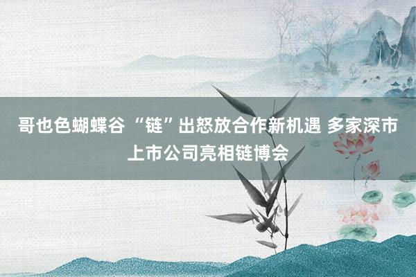 哥也色蝴蝶谷 “链”出怒放合作新机遇 多家深市上市公司亮相链博会