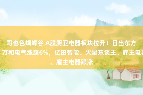 哥也色蝴蝶谷 A股厨卫电器板块拉升！日出东方涨停，万和电气涨超6%，亿田智能、火星东谈主、雇主电器跟涨