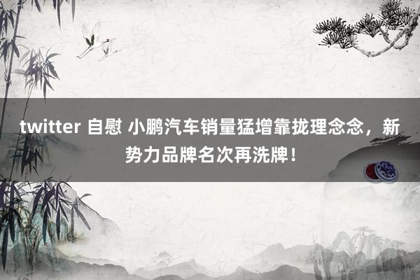 twitter 自慰 小鹏汽车销量猛增靠拢理念念，新势力品牌名次再洗牌！