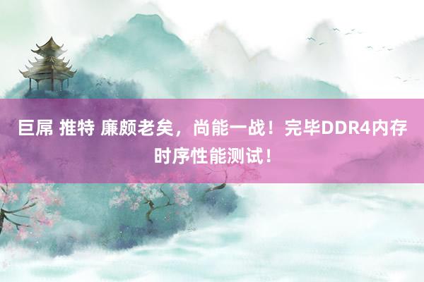 巨屌 推特 廉颇老矣，尚能一战！完毕DDR4内存时序性能测试！