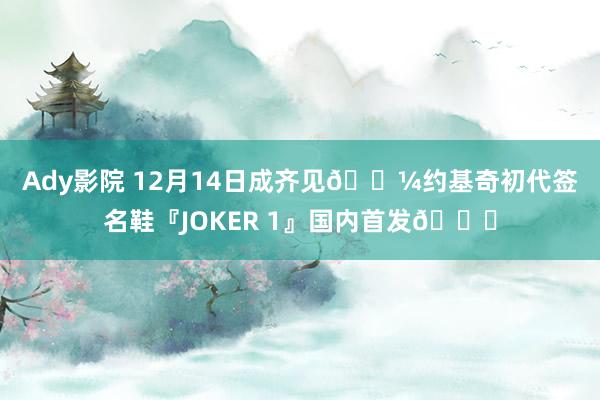 Ady影院 12月14日成齐见🐼约基奇初代签名鞋『JOKER 1』国内首发👟