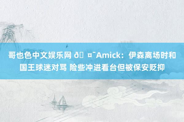 哥也色中文娱乐网 🤯Amick：伊森离场时和国王球迷对骂 险些冲进看台但被保安贬抑