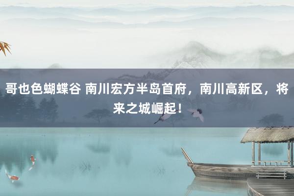 哥也色蝴蝶谷 南川宏方半岛首府，南川高新区，将来之城崛起！
