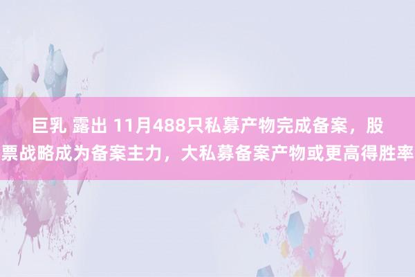 巨乳 露出 11月488只私募产物完成备案，股票战略成为备案主力，大私募备案产物或更高得胜率