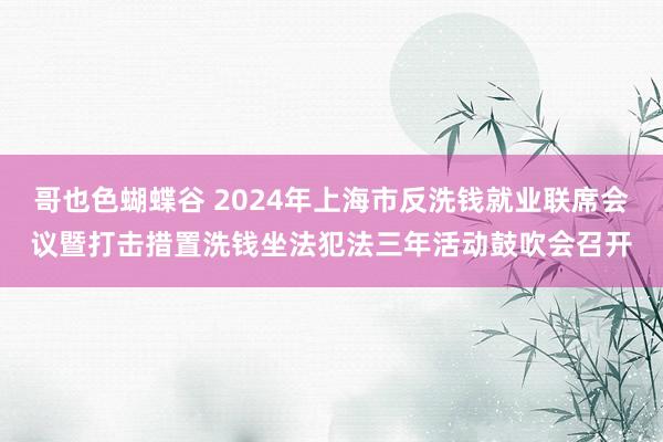 哥也色蝴蝶谷 2024年上海市反洗钱就业联席会议暨打击措置洗钱坐法犯法三年活动鼓吹会召开