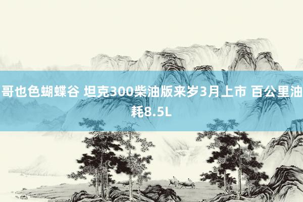 哥也色蝴蝶谷 坦克300柴油版来岁3月上市 百公里油耗8.5L
