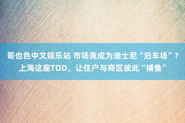哥也色中文娱乐站 市场竟成为迪士尼“泊车场”？上海这座TOD，让住户与商区彼此“捕鱼”