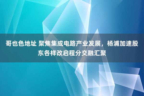 哥也色地址 聚焦集成电路产业发展，杨浦加速股东各样改启程分交融汇聚