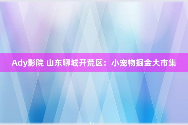 Ady影院 山东聊城开荒区：小宠物掘金大市集
