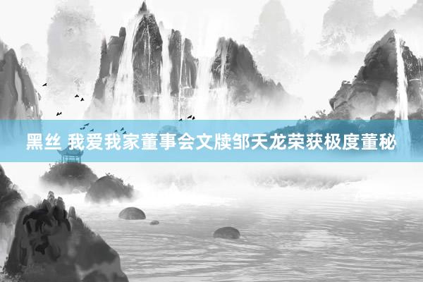 黑丝 我爱我家董事会文牍邹天龙荣获极度董秘