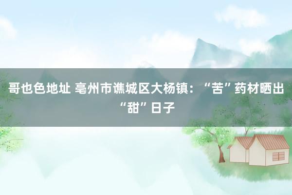 哥也色地址 亳州市谯城区大杨镇：“苦”药材晒出“甜”日子