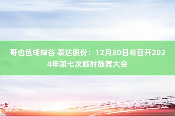 哥也色蝴蝶谷 泰达股份：12月30日将召开2024年第七次临时鼓舞大会