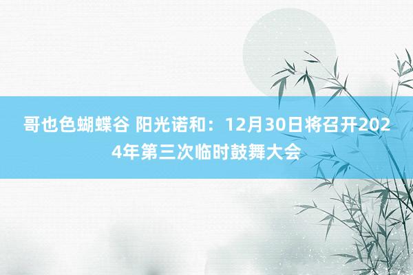 哥也色蝴蝶谷 阳光诺和：12月30日将召开2024年第三次临时鼓舞大会