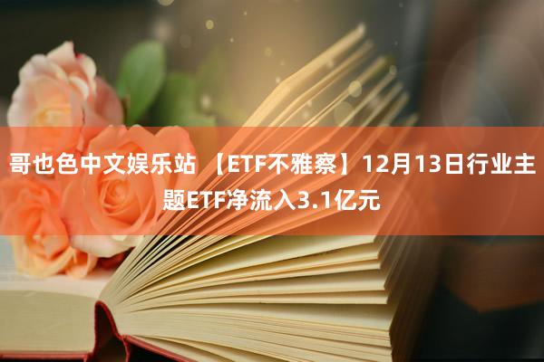 哥也色中文娱乐站 【ETF不雅察】12月13日行业主题ETF净流入3.1亿元