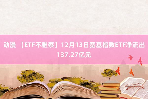 动漫 【ETF不雅察】12月13日宽基指数ETF净流出137.27亿元