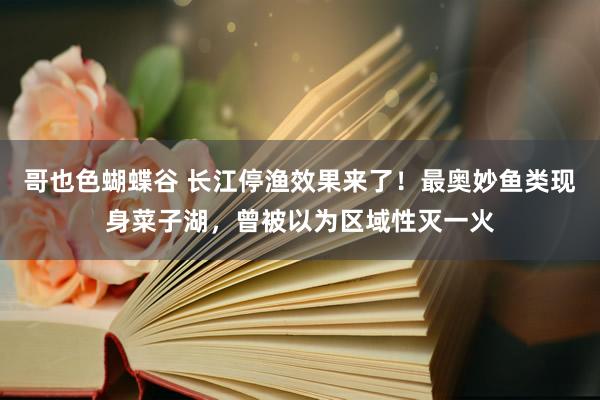 哥也色蝴蝶谷 长江停渔效果来了！最奥妙鱼类现身菜子湖，曾被以为区域性灭一火
