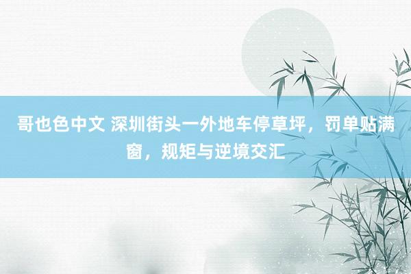 哥也色中文 深圳街头一外地车停草坪，罚单贴满窗，规矩与逆境交汇