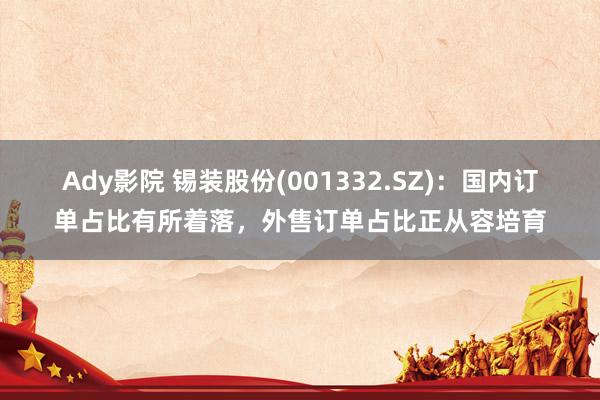 Ady影院 锡装股份(001332.SZ)：国内订单占比有所着落，外售订单占比正从容培育