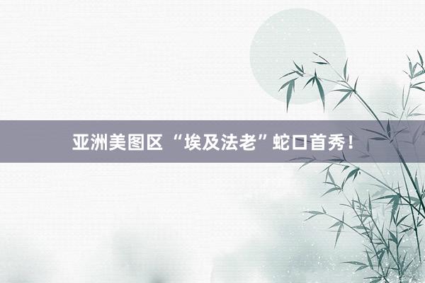 亚洲美图区 “埃及法老”蛇口首秀！
