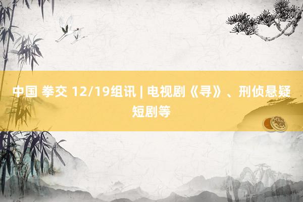 中国 拳交 12/19组讯 | 电视剧《寻》、刑侦悬疑短剧等