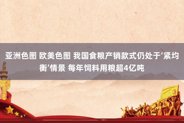 亚洲色图 欧美色图 我国食粮产销款式仍处于‘紧均衡’情景 每年饲料用粮超4亿吨