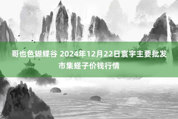 哥也色蝴蝶谷 2024年12月22日寰宇主要批发市集蛏子价钱行情