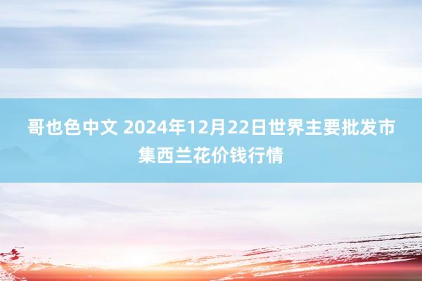 哥也色中文 2024年12月22日世界主要批发市集西兰花价钱行情