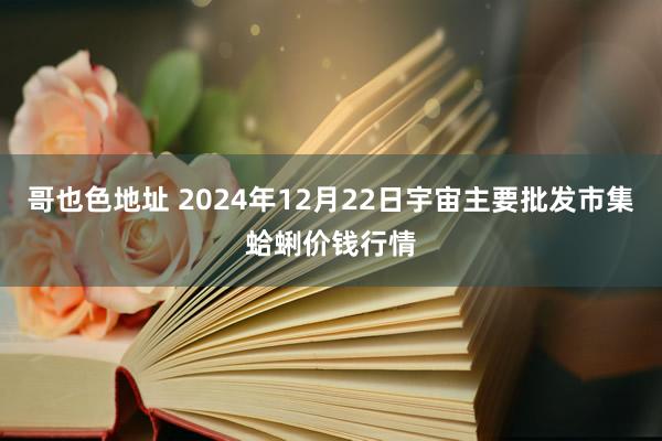 哥也色地址 2024年12月22日宇宙主要批发市集蛤蜊价钱行情