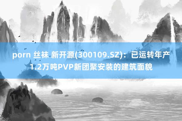 porn 丝袜 新开源(300109.SZ)：已运转年产1.2万吨PVP新团聚安装的建筑面貌