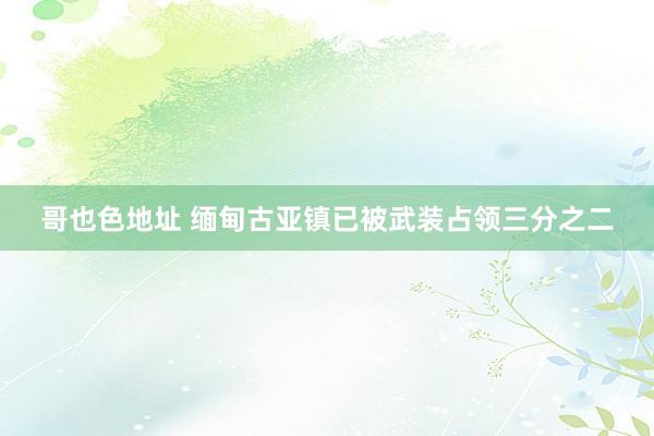 哥也色地址 缅甸古亚镇已被武装占领三分之二