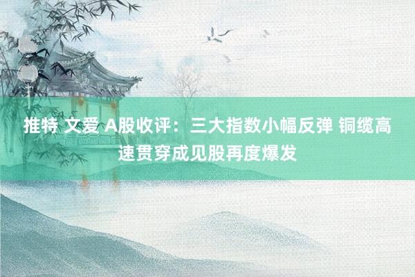 推特 文爱 A股收评：三大指数小幅反弹 铜缆高速贯穿成见股再度爆发