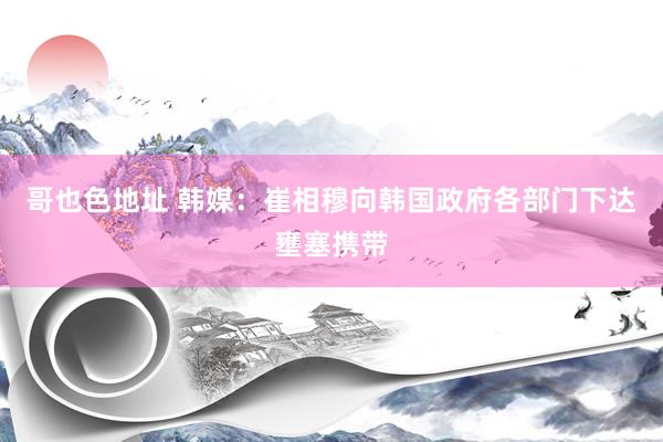 哥也色地址 韩媒：崔相穆向韩国政府各部门下达壅塞携带