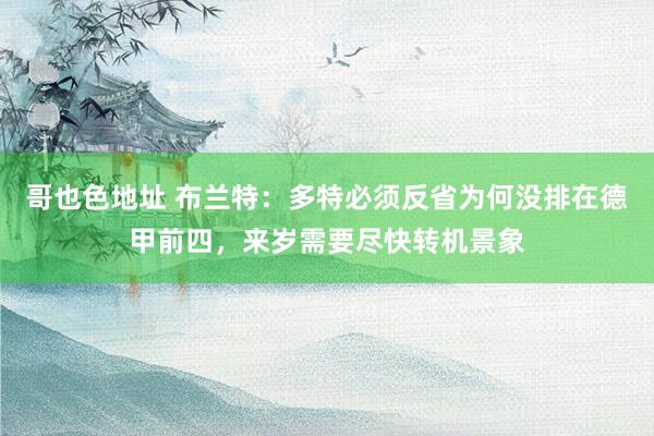 哥也色地址 布兰特：多特必须反省为何没排在德甲前四，来岁需要尽快转机景象