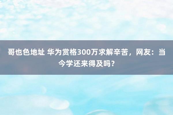 哥也色地址 华为赏格300万求解辛苦，网友：当今学还来得及吗？