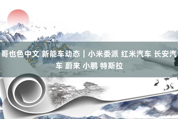 哥也色中文 新能车动态｜小米委派 红米汽车 长安汽车 蔚来 小鹏 特斯拉