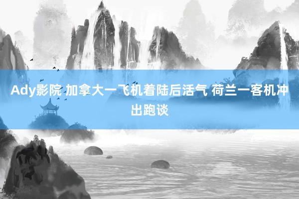 Ady影院 加拿大一飞机着陆后活气 荷兰一客机冲出跑谈