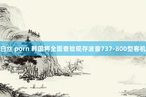 白丝 porn 韩国将全面查验现存波音737-800型客机