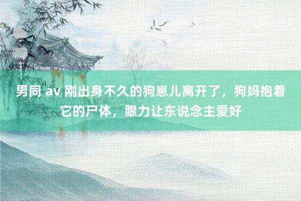 男同 av 刚出身不久的狗崽儿离开了，狗妈抱着它的尸体，眼力让东说念主爱好