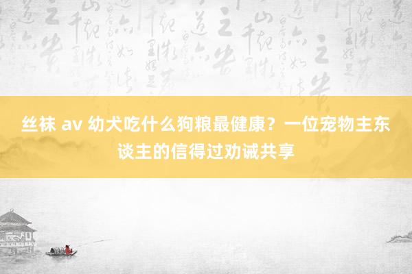 丝袜 av 幼犬吃什么狗粮最健康？一位宠物主东谈主的信得过劝诫共享