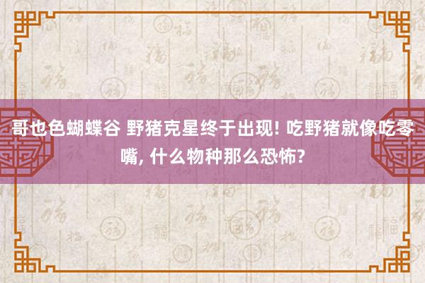 哥也色蝴蝶谷 野猪克星终于出现! 吃野猪就像吃零嘴， 什么物种那么恐怖?