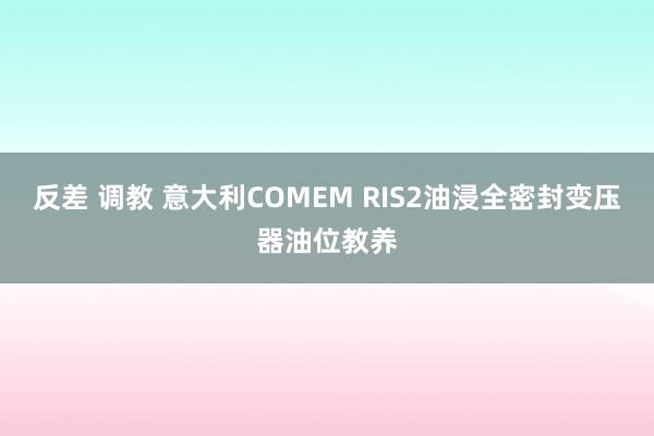 反差 调教 意大利COMEM RIS2油浸全密封变压器油位教养