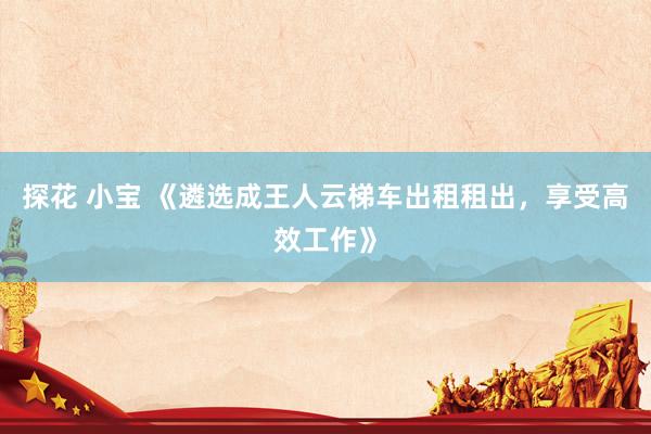 探花 小宝 《遴选成王人云梯车出租租出，享受高效工作》