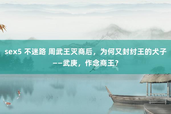 sex5 不迷路 周武王灭商后，为何又封纣王的犬子——武庚，作念商王？