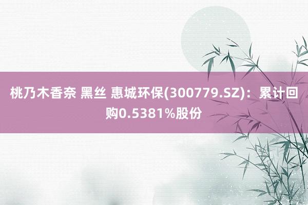 桃乃木香奈 黑丝 惠城环保(300779.SZ)：累计回购0.5381%股份